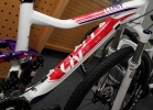 GIANT 2015