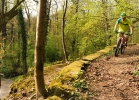 RB CRR 290 - test