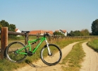 RB IQ 275 - Test