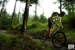 RB IQ 29 Team - Test