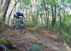 RB TR 120 - test
