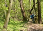 Rocky Mountain Thunderbolt BC Edition - review