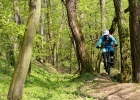 Rocky Mountain Thunderbolt BC Edition - review