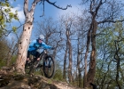 Rocky Mountain Thunderbolt BC Edition - review