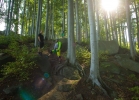 Rychlebské enduro 2015 - reportaz