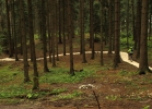 Rychlebske Stezky