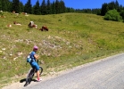 Saalbach-Hinterhlem - bikersky raj
