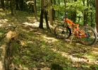 Santa Cruz 5010c - test