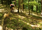 Santa Cruz 5010c - test