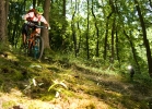 Santa Cruz 5010c - test