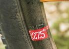Santa Cruz 5010c - test