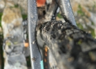 Santa Cruz Hightower cc 29er - test