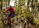 Santa Cruz Hightower - Tech News