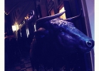 Signatures - premiera - ROXY