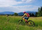 Singletrails Bílá - MTBbikepark (Andrea Drengubáková)