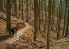 Singltrek pod Smrkem - podzim 2011