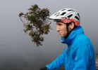 Specialized Ambush - TEST