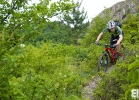 Specialized-Camber-29er-01