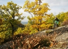 Specialized Camber Evo 29 (2014) - TEST