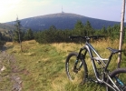 Specialized Enduro 650b Comp (2015) - TEST