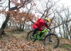 Specialized Enduro Comp 650b/29 - review & compare