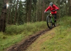 Specialized Enduro Comp 650b/29 - review & compare