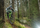 Specialized Enduro Comp 650b/29 - review & compare