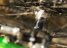 Specialized Enduro Comp 650b/29 - review & compare