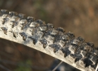 Specialized Enduro Comp 650b/29 - review & compare