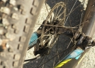Specialized Fuse (6Fattie / 27,5+) - test