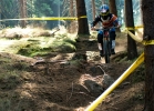 SPECIALIZED S-Works Demo 8 (2016) – TEST