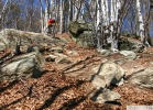 Specialized Status II - test