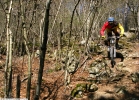 Specialized Status II - test