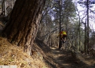 Specialized Status II - test