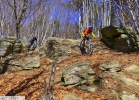 Specialized Status II - test