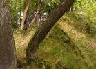 SPECIALIZED Stumpjumper FSR Expert 650b – TEST