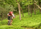 SPECIALIZED Stumpjumper FSR Expert 650b – TEST
