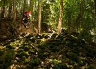 SPECIALIZED Stumpjumper FSR Expert 650b – TEST