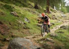 Specialized Women's Camber Comp Carbon 650b – Lady test