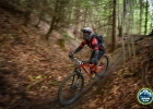 SPEN-2019-report-AD-10