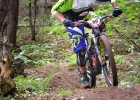 SPEN-2019-report-AD-11