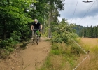 Špičák 2019 - AD report