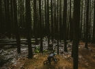AM_ROAM60-160130-945
