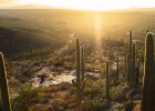SRAM G2 RS & G2 R - TECH NEWS