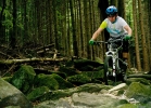 RB IQ 575 - TEST