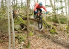Stevens Monarch Trail - review