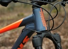 Stevens Monarch Trail - review