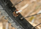Stevens Monarch Trail - review