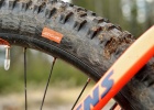 Stevens Monarch Trail - review