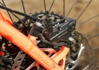 Stevens Monarch Trail - review